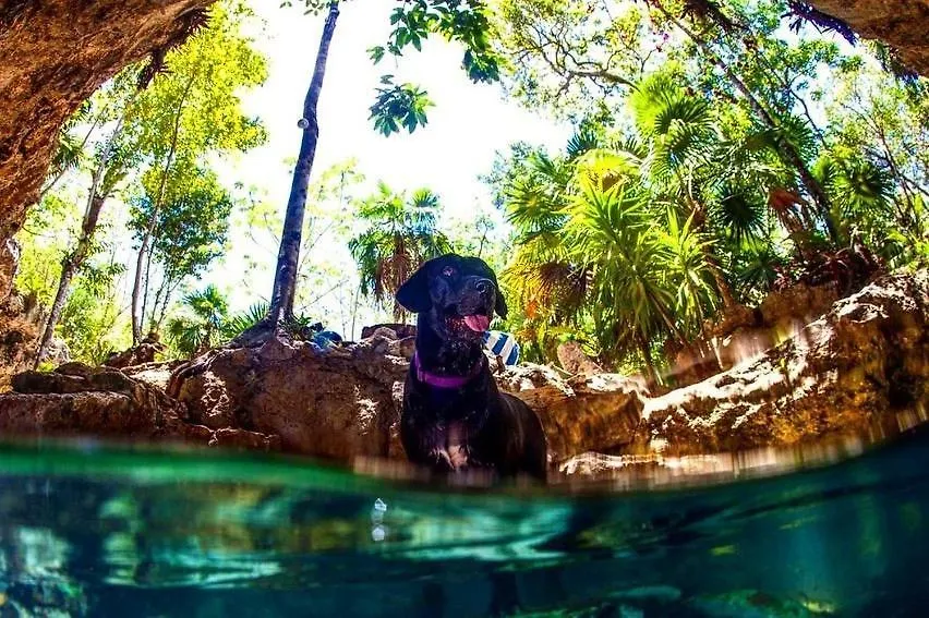 Villa Balam Ha Con Cenote Privado 0*, Akumal
